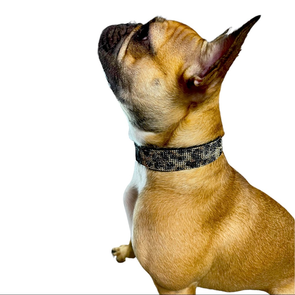 Going on a safari cheetah bling collar